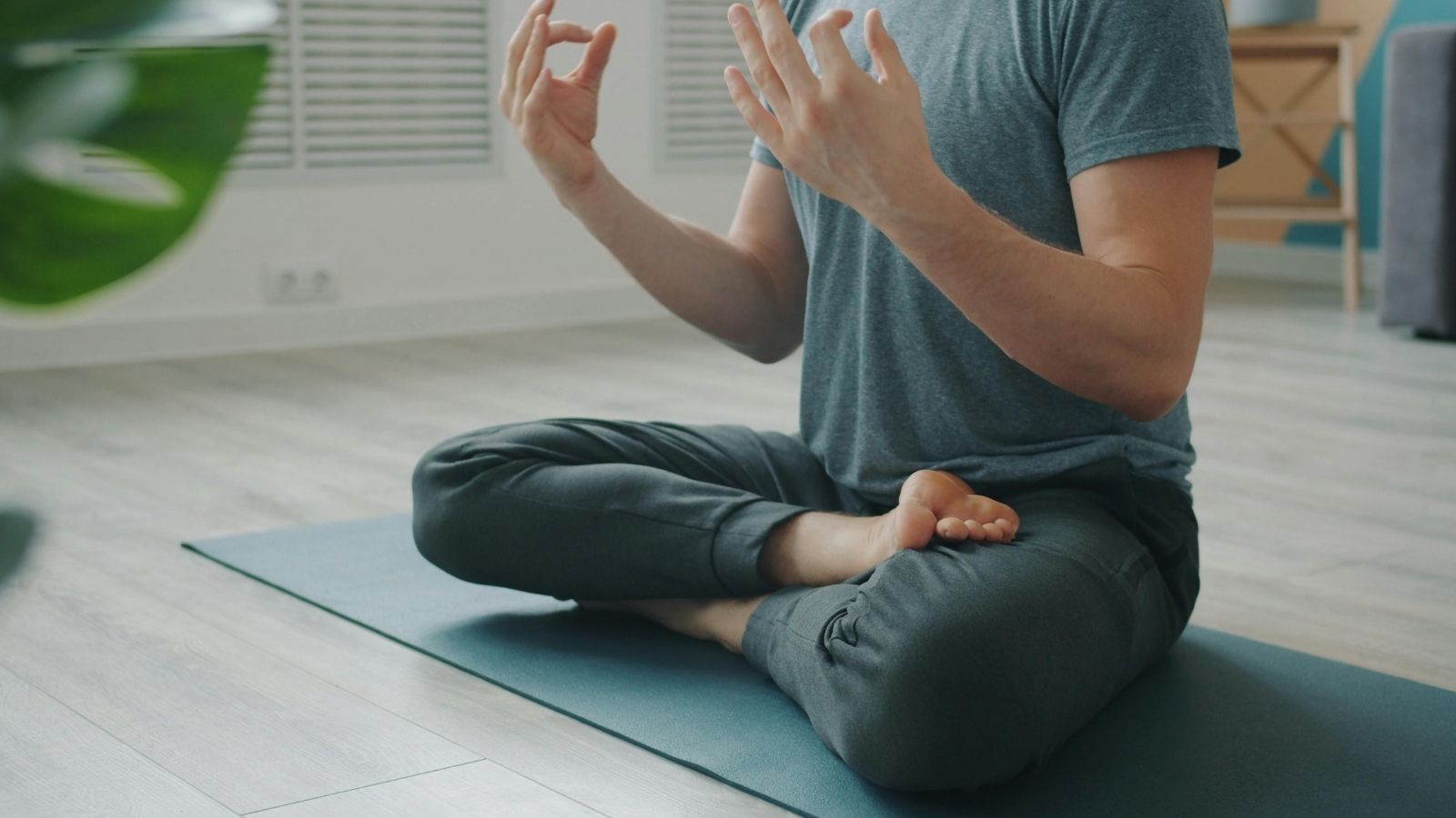 Klassisches Hatha-Yoga mit Pranayama | Kurs 1