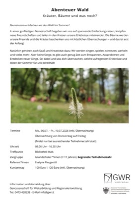 Abenteuer im Wald – Kräuter und Bäume