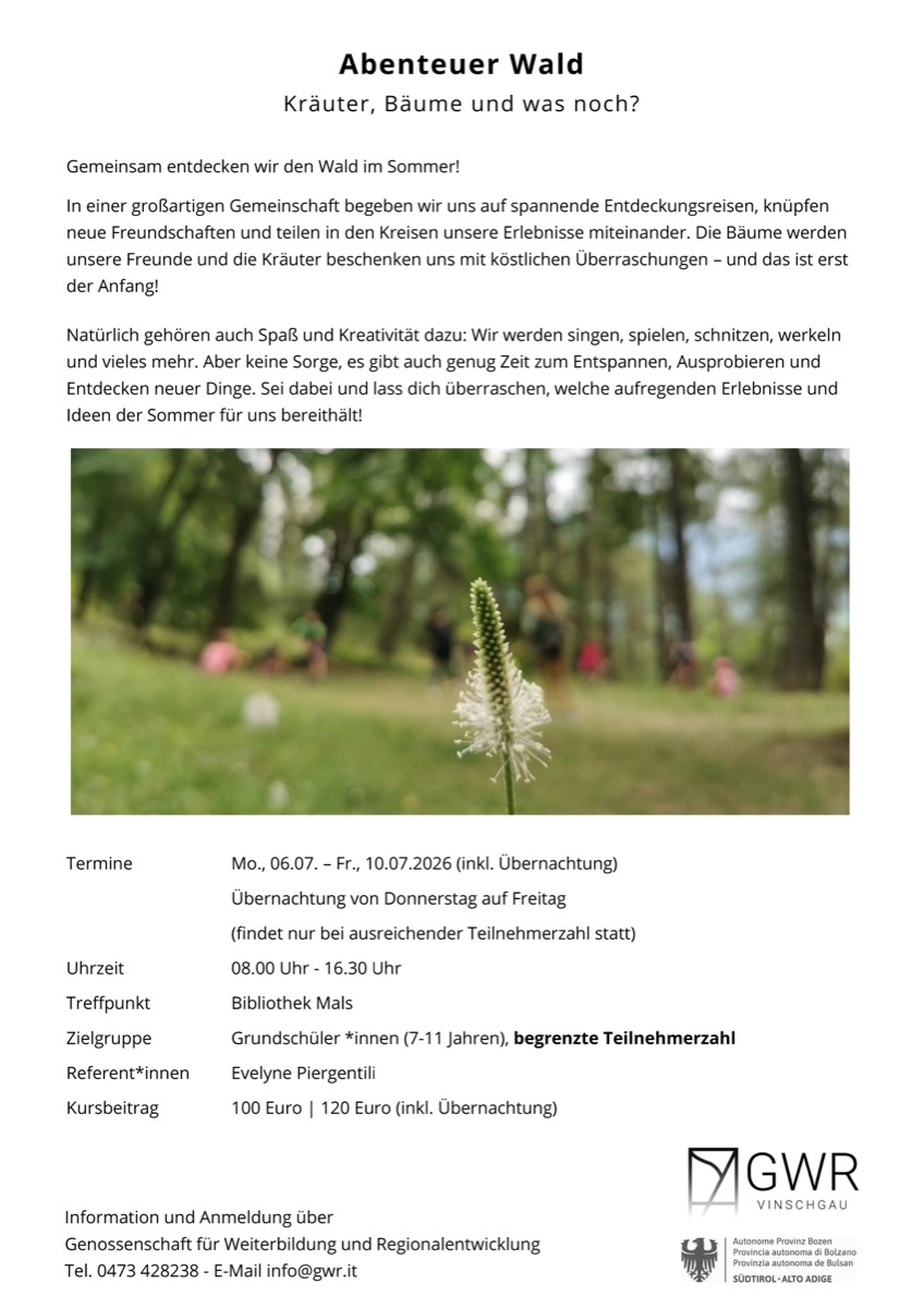 Abenteuer im Wald – Kräuter und Bäume